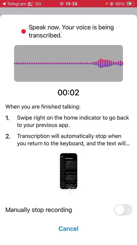 Speak now overlay recording your voice